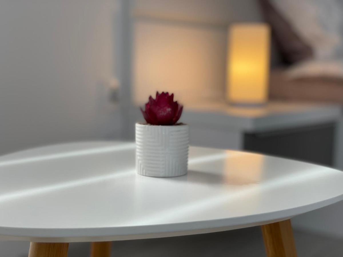 Vice-Versa By Jules Studio Brasov Ngoại thất bức ảnh